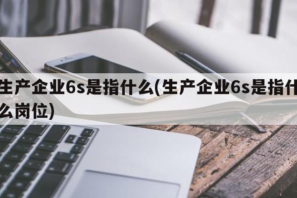 生产企业6s是指什么(生产企业6s是指什么岗位)